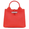 Bolso Le Roseau S