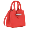 Bolso Le Roseau XS