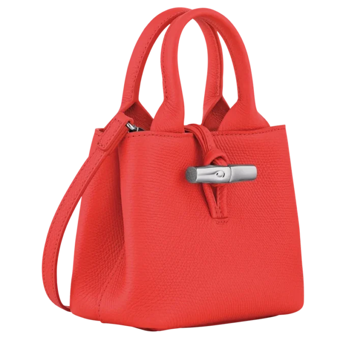 Bolso Le Roseau XS
