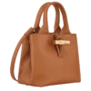 Bolso Le Roseau XS