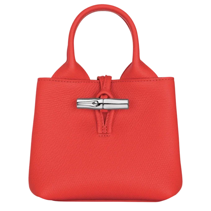 Bolso Le Roseau XS