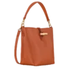 Bolso tipo cubo Le Roseau XS