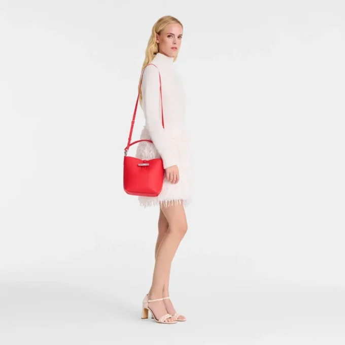 Bolso tipo cubo Le Roseau XS