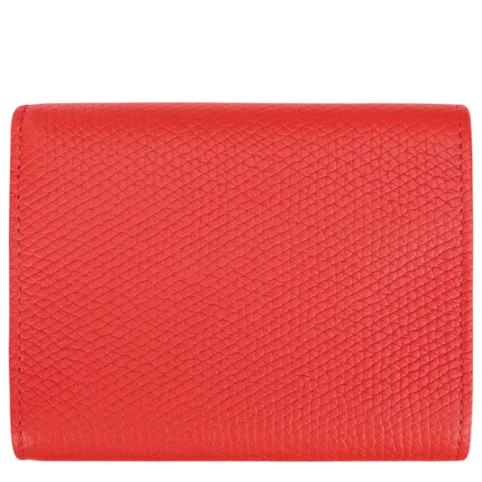 Le Roseau Cartera compacta