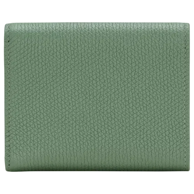 Le Roseau Cartera compacta