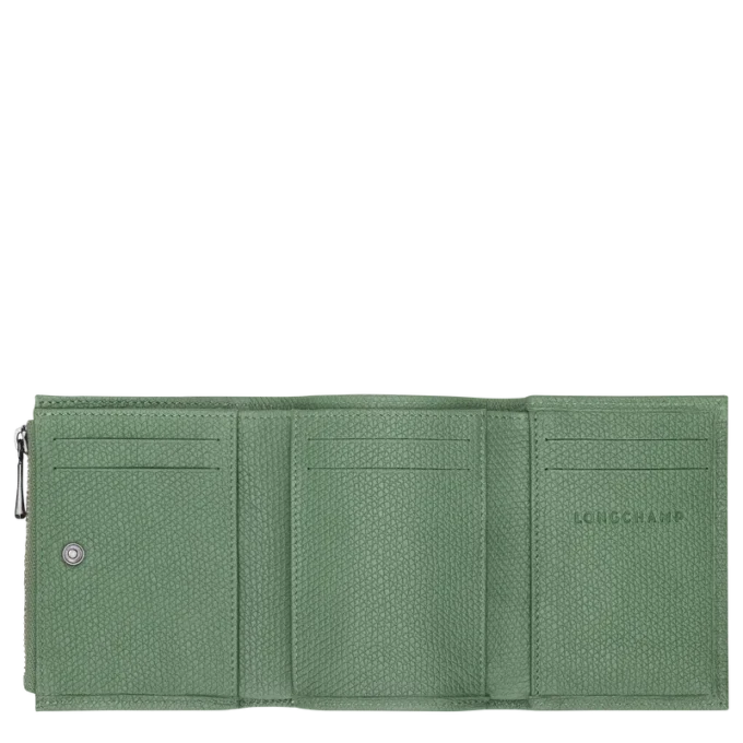 Le Roseau Cartera compacta