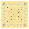 Pañuelo francés de seda 50