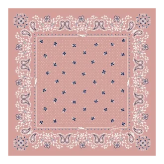 Pañuelo francés de seda 50